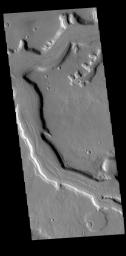 This image from NASA's Mars Odyssey shows a section of Mamers Valles.