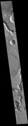 This image from NASA's Mars Odyssey shows channels which are different sections of Tinto Vallis.