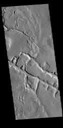 This image from NASA's Mars Odyssey shows part of the lowland plains north of the Elysium volcanic complex.