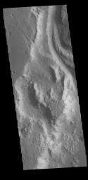 This image from NASA's Mars Odyssey shows a portion of Shalbatana Vallis.