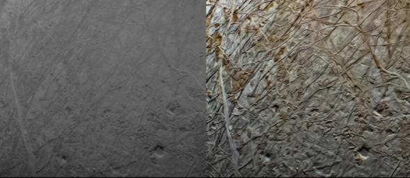 This pair of images, minimally processed and enhanced, shows the same portion of Europa as captured by the Juno spacecraft's JunoCam during the mission's Sept. 29 close flyby.