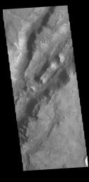 This image from NASA's Mars Odyssey shows linear depressions, part of Nili Fossae. Nili Fossae is a collection of curved faults and down-dropped blocks of crust between the faults called graben.