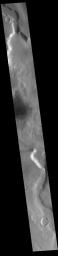 This image from NASA's Mars Odyssey shows a section of Mamers Valles.
