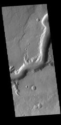 This image from NASA's Mars Odyssey shows a section of Mamers Valles. Mamer Valles is nearly 1000 km long (600 miles).