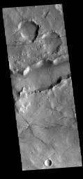 This image from NASA's Mars Odyssey shows linear features, or tectonic graben. These graben are called Sirenum Fossae.