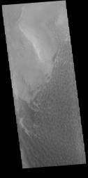 This image from NASA's Mars Odyssey shows part of the floor of Rabe Crater. Located in Noachis Terra, Rabe Crater is 108 km (67 miles) across.