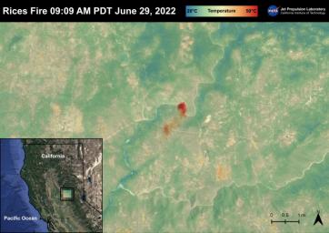 The Rices Fire started on June 28th, 2022 in Northern California near the Yuba River in Nevada County. The fire was captured in an ECOSTRESS Land Surface image on June 29 and shows the temperatures surpassing 130 degrees Fahrenheit.