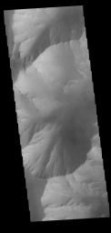 This image from NASA's Mars Odyssey shows part of the southwestern cliffside of Melas Chasma.