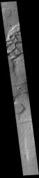 This image from NASA's Mars Odyssey shows a complex channel, part of Mangala Fossae.