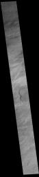 This image from NASA's Mars Odyssey shows a small portion of the immense lava flows that originated from Arsia Mons.
