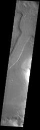 This image from NASA's Mars Odyssey shows a short section of Reull Vallis. Reull Vallis starts in Promethei Terra and empties into Hellas Plainitia.