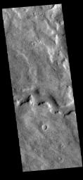 This image from NASA's Mars Odyssey shows a section of Tader Valles located in Terra Sirenum. Tader Valles is 200 km long (124 miles).