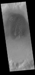 This image from NASA's Mars Odyssey shows a sand sheet with surface dune forms as well as smaller sand dunes within an unnamed crater in Noachis Terra.