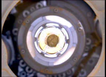 This image shows the rock core from Berea inside inside the drill of NASA's Perseverance Mars rover. Each core the rover takes is about the size of a piece of classroom chalk: 0.5 inches (13 millimeters) in diameter and 2.4 inches (60 millimeters) long.