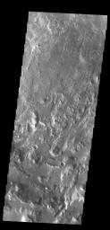 This image from NASA's Mars Odyssey shows part of the floor of Eberwalde Crater.