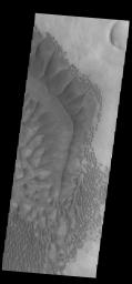 This image from NASA's Mars Odyssey shows complex dune forms located on the floor of Russell Crater.