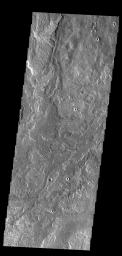 This image from NASA's Mars Odyssey shows a small portion of the immense lava flows that originated from Arsia Mons.