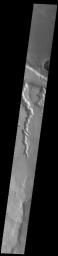 This image from NASA's Mars Odyssey shows the complete length of two channels in northern Terra Sirenum.