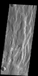 This image from NASA's Mars Odyssey shows Claritas Fossae, a graben filled highland located between the lava plains of Daedalia Planum and Solis Planum.