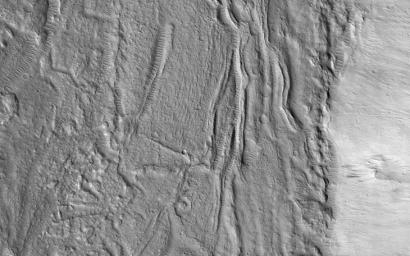 This image acquired on November 21, 2022 by NASA's Mars Reconnaissance Orbiter suggest this is a glacial (ice-rich) flow, but the surface is broken into plates like many lava flows on Mars.