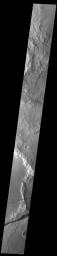 This image from NASA's Mars Odyssey shows graben, part of Memnonia Fossae.