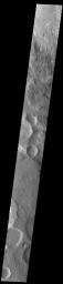 This image from NASA's Mars Odyssey shows an area eroded by the wind. It has been suggested that the surface is comprised of volcanic ash deposits, sourced from the Tharsis and Apollinaris volcanoes.