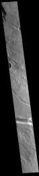 This image from NASA's Mars Odyssey shows a section of one of the many channel forms found radial to the Elysium Mons volcanic complex.