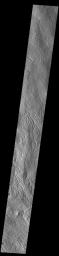 This image from NASA's Mars Odyssey shows the western flank of Alba Mons. This region is highly dissected by channels.