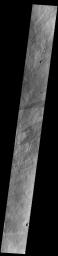 This image from NASA's Mars Odyssey shows several dark streaks near the summit of Alba Mons.