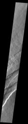 This image from NASA's Mars Odyssey shows Alba Fossae, a set of long valleys on the western side of Alba Mons.