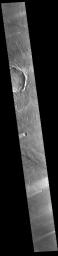 This image from NASA's Mars Odyssey shows windstreaks located in Syrtis Major Planum.