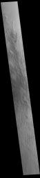 This image from NASA's Mars Odyssey shows part of the northern extent of Eumenides Dorsum, a large linear rise located in southern Amazonis Planitia.