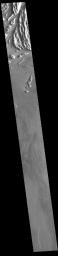 This image from NASA's Mars Odyssey shows a portion of Cyane Sulci.