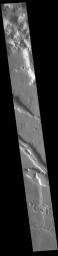 This image from NASA's Mars Odyssey shows part of the northeastern margin of Terra Sabaea.