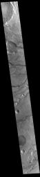 This image from NASA's Mars Odyssey shows channels called Maumee Valles.
