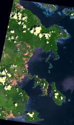 NASA's Terra spacecraft shows areas of deforestation, surrounded by bright green areas of tropical vegetation, in southeast Sulawesi, Indonesia. The image was acquired September 12, 2019.