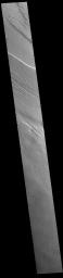 This image from NASA's Mars Odyssey shows a region of wind etched materials. In regions of poorly cemented surface materials it is possible to create large features due to just the action of the wind.