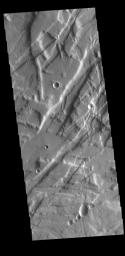 This image from NASA's Mars Odyssey shows a small portion of Tempe Fossae. The linear features are tectonic graben.