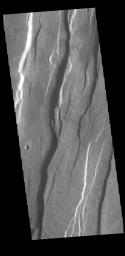This image from NASA's Mars Odyssey shows a portion of Tantalus Fossae. The linear features are tectonic graben.