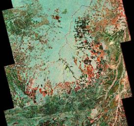 This composite uses data from two Japanese L-band SAR missions to reveal land-cover change in Brazil's Xingu River basin between 1996 and 2007.
