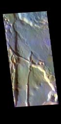This image from NASA's Mars Odyssey shows part of Cydonia Mensae.