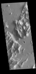This image from NASA's Mars Odyssey shows the ridge forms that are typical of Lycus Sulci, a low lying area of ridges and valleys found to the northwest of Olympus Mons.