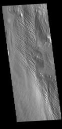 This image from NASA's Mars Odyssey shows a region of wind etched materials. In regions of poorly cemented surface materials it is possible to create large features due to just the action of the wind.