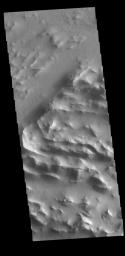 This image from NASA's Mars Odyssey shows the ridge forms that are typical of Lycus Sulci, a low lying area of ridges and valleys found to the northwest of Olympus Mons.