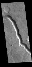 This image from NASA's Mars Odyssey shows a section of Scamander Vallis. Scamander Vallis is located in northern Terra Sabaea. The channel is 269km (167 miles) long.