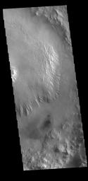 This image from NASA's Mars Odyssey shows a portion of the floor of an unnamed crater in Arabia Terra.