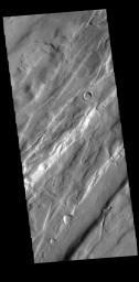 This image from NASA's Mars Odyssey shows a small portion of Tempe Fossae.