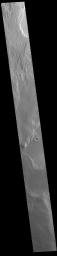 This image from NASA's Mars Odyssey shows a region of wind etched materials near the margin of Lucus Planum.