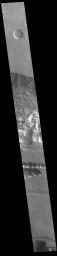 This image from NASA's Mars Odyssey shows the central part of Tithonium Chasma.