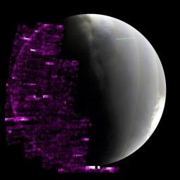The purple color in this animated GIF shows auroras on Mars' nightside as detected by the ultraviolet instrument aboard NASA's MAVEN orbiter between May 14 and 20, 2024. The brighter the purple, the more auroras were present.